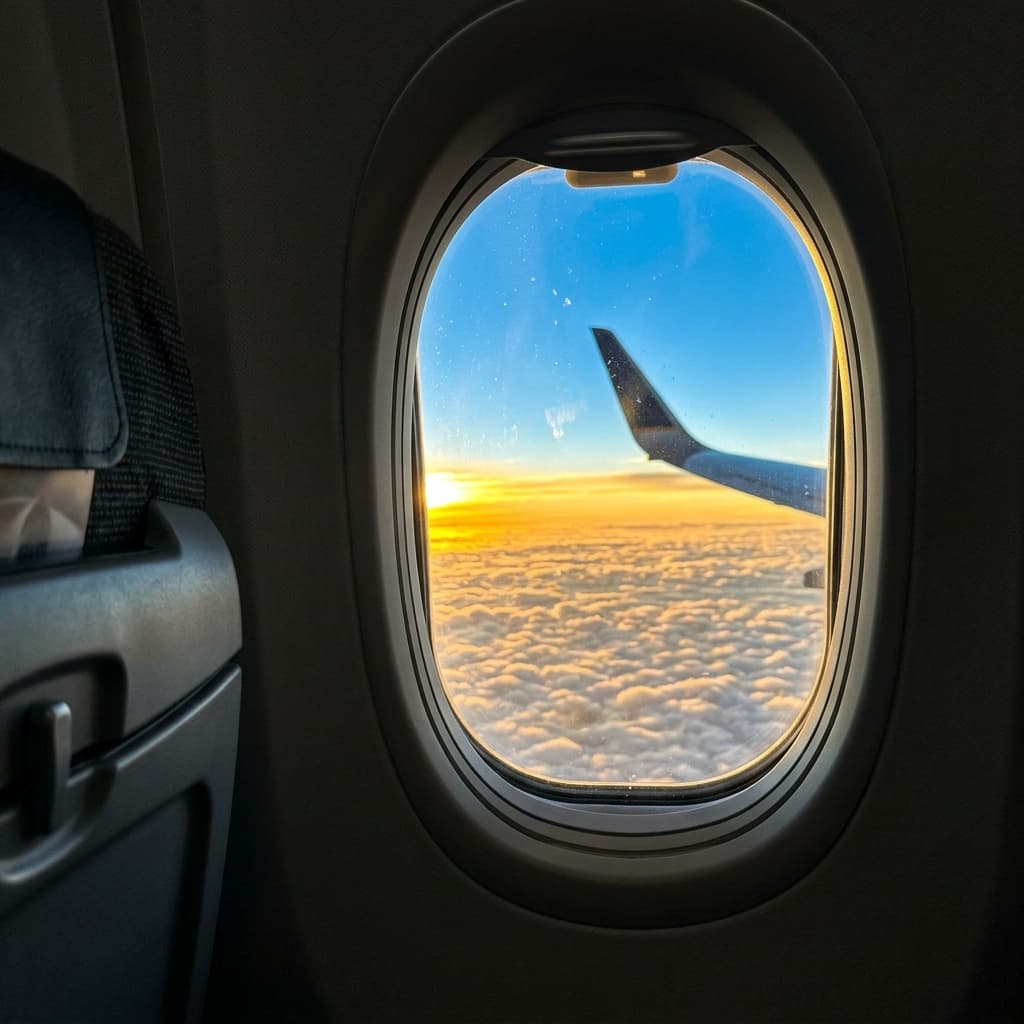 Flights